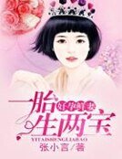好孕鮮妻,一胎生兩寶